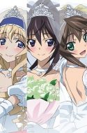 Infinite Stratos 2 – Infinite Wedding